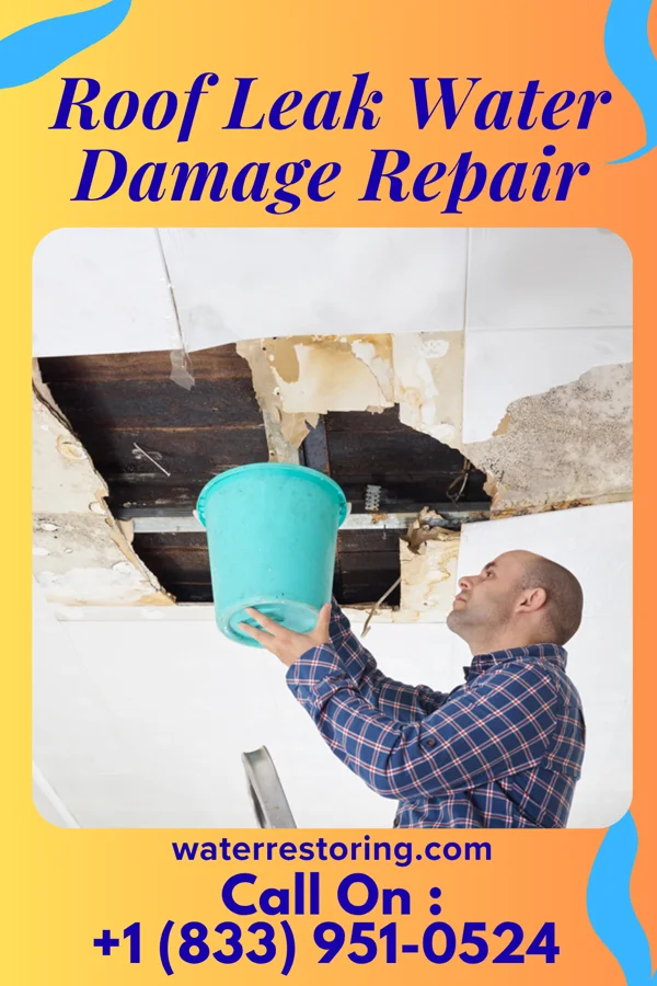 Roof Leak Water Damage Repair in Hartsville, IN