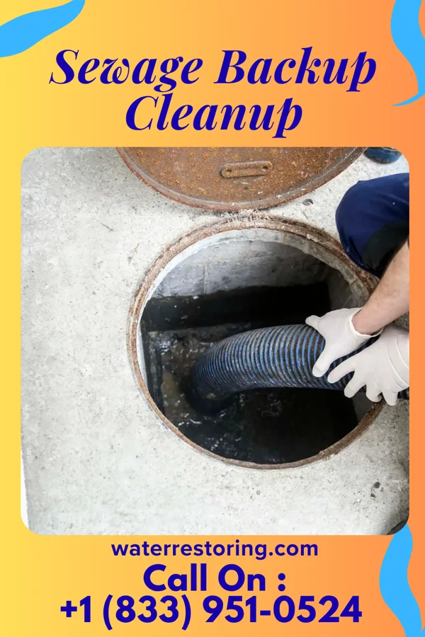 Sewage Backup Cleanup in Hartsville, IN